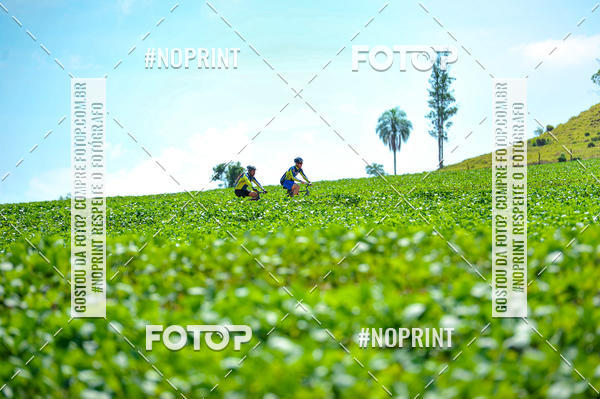 Buy your photos of the event2� MTB na Veia - 2019 on Fotop