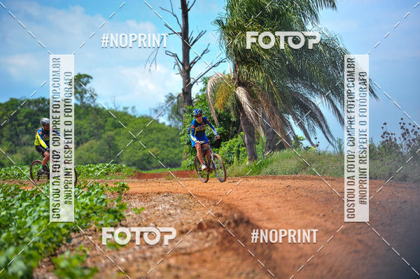 Buy your photos of the event2� MTB na Veia - 2019 on Fotop