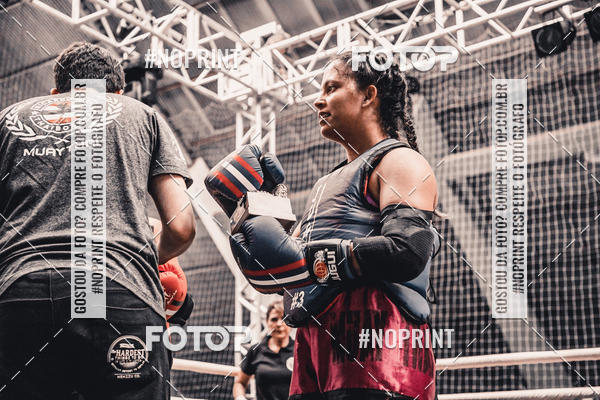 Buy your photos of the eventGolden Cup Pro on Fotop