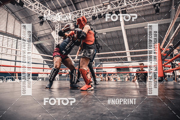 Buy your photos of the eventGolden Cup Pro on Fotop