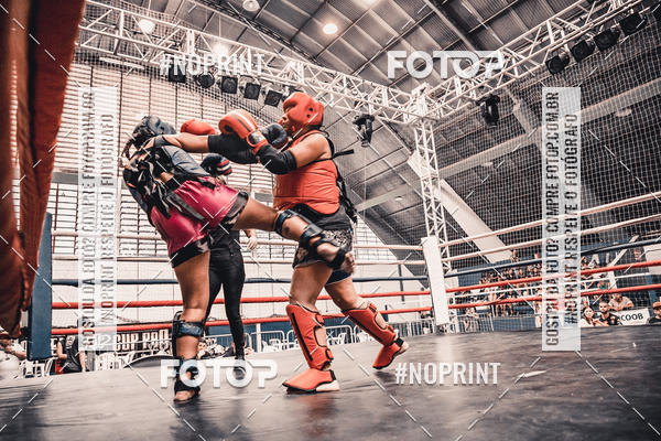 Buy your photos of the eventGolden Cup Pro on Fotop