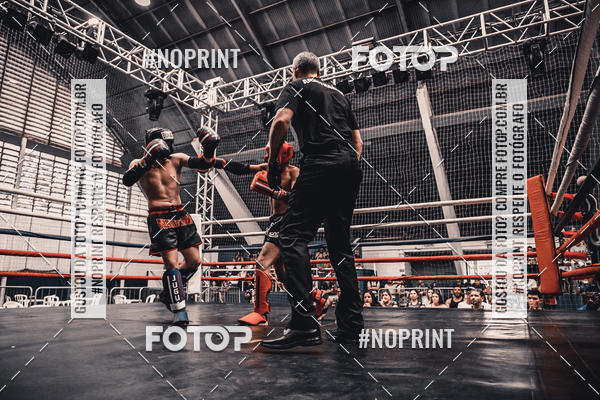 Buy your photos of the eventGolden Cup Pro on Fotop