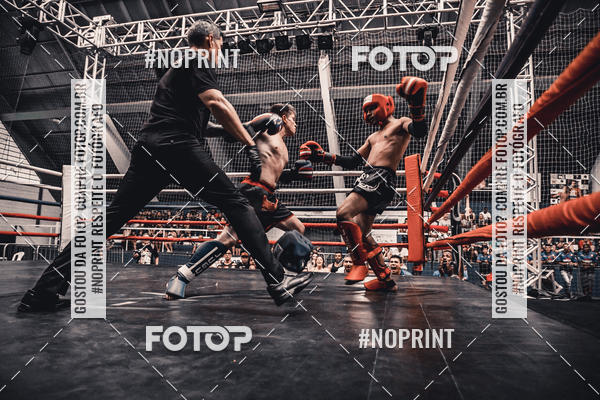 Buy your photos of the eventGolden Cup Pro on Fotop