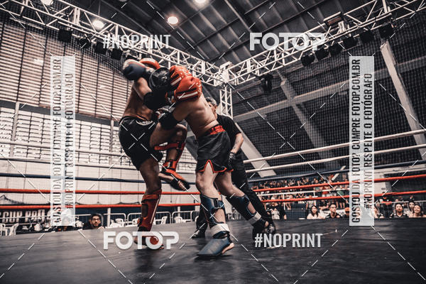 Buy your photos of the eventGolden Cup Pro on Fotop