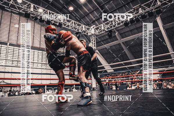 Buy your photos of the eventGolden Cup Pro on Fotop