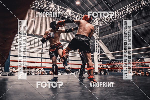 Buy your photos of the eventGolden Cup Pro on Fotop