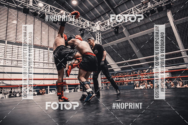 Buy your photos of the eventGolden Cup Pro on Fotop