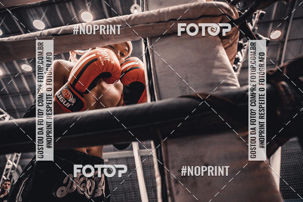 Buy your photos of the eventGolden Cup Pro on Fotop