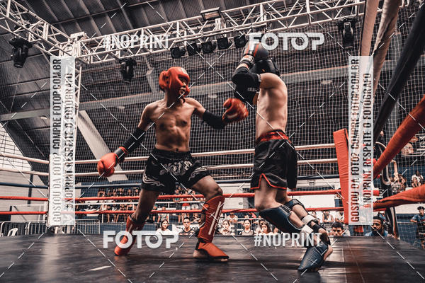 Buy your photos of the eventGolden Cup Pro on Fotop