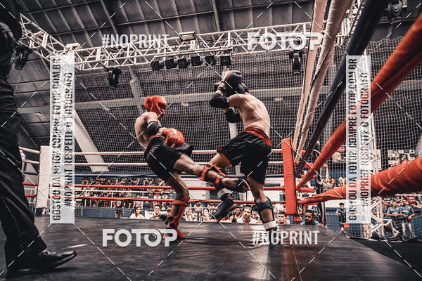 Buy your photos of the eventGolden Cup Pro on Fotop