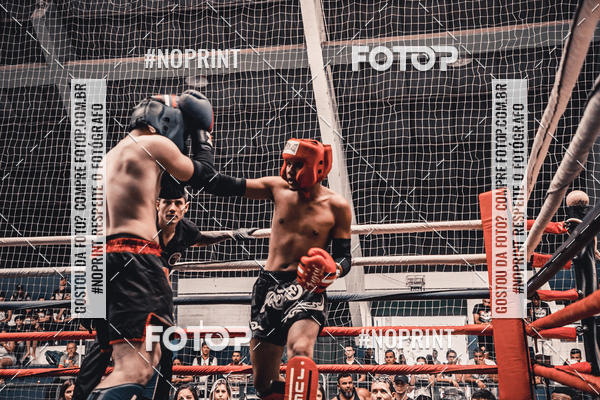 Buy your photos of the eventGolden Cup Pro on Fotop