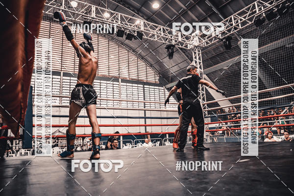 Buy your photos of the eventGolden Cup Pro on Fotop