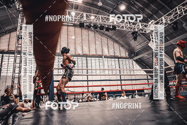 Buy your photos of the eventGolden Cup Pro on Fotop