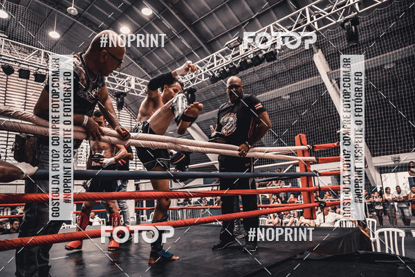 Buy your photos of the eventGolden Cup Pro on Fotop