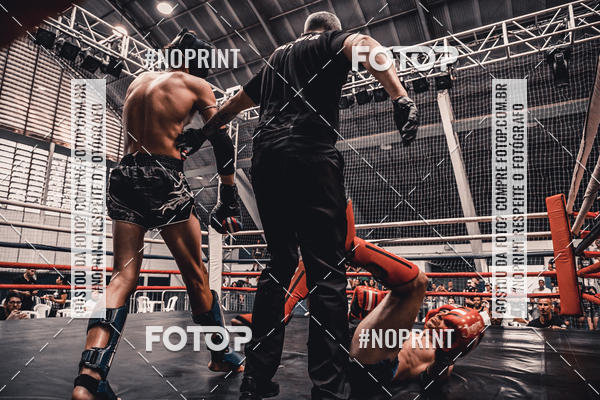 Buy your photos of the eventGolden Cup Pro on Fotop