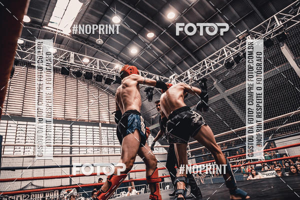 Buy your photos of the eventGolden Cup Pro on Fotop