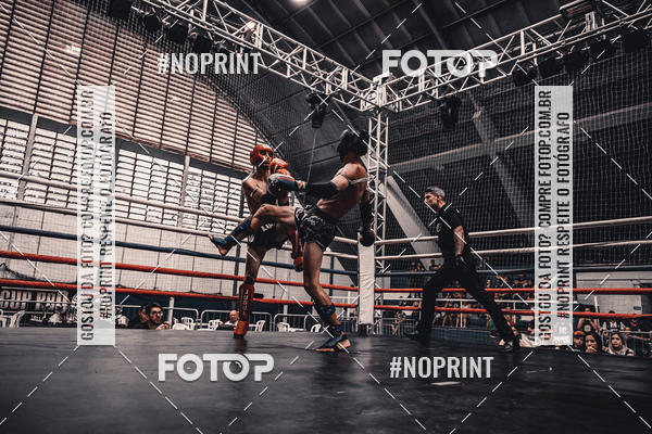 Buy your photos of the eventGolden Cup Pro on Fotop