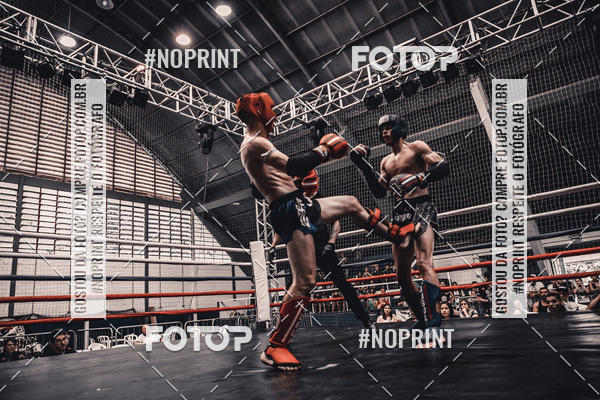 Buy your photos of the eventGolden Cup Pro on Fotop