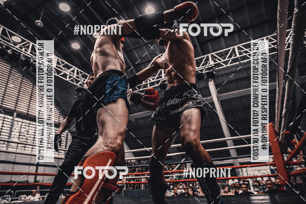 Buy your photos of the eventGolden Cup Pro on Fotop