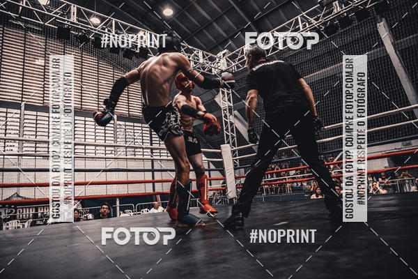 Buy your photos of the eventGolden Cup Pro on Fotop
