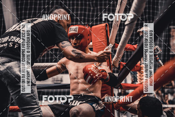 Buy your photos of the eventGolden Cup Pro on Fotop