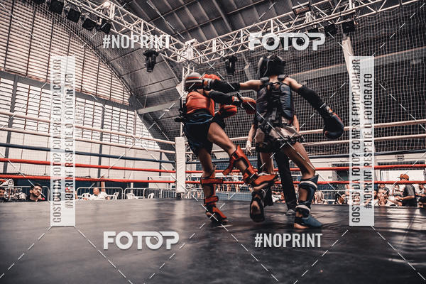 Buy your photos of the eventGolden Cup Pro on Fotop