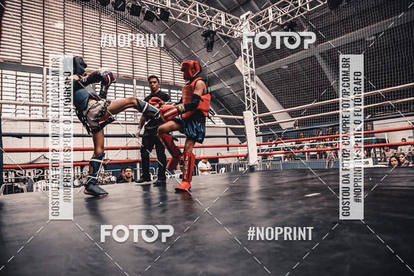 Buy your photos of the eventGolden Cup Pro on Fotop