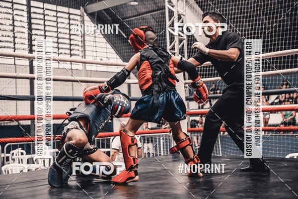 Buy your photos of the eventGolden Cup Pro on Fotop