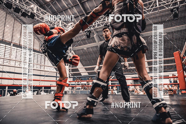 Buy your photos of the eventGolden Cup Pro on Fotop