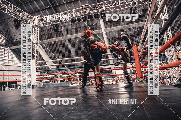 Buy your photos of the eventGolden Cup Pro on Fotop