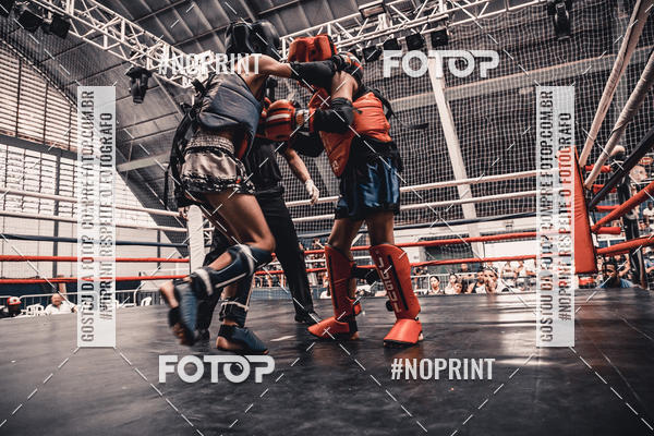 Buy your photos of the eventGolden Cup Pro on Fotop