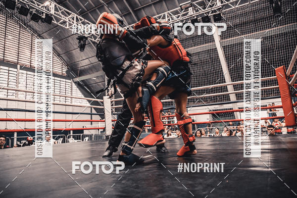 Buy your photos of the eventGolden Cup Pro on Fotop