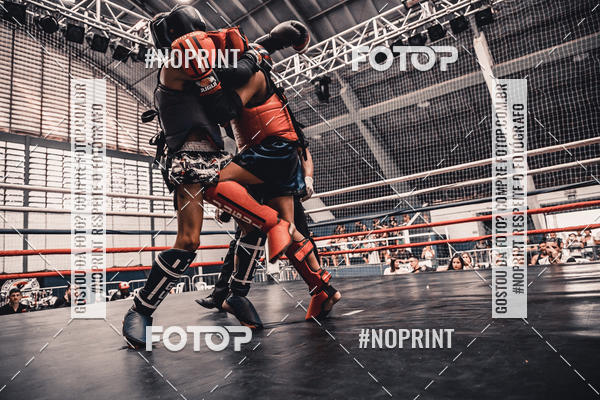 Buy your photos of the eventGolden Cup Pro on Fotop