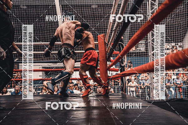 Buy your photos of the eventGolden Cup Pro on Fotop