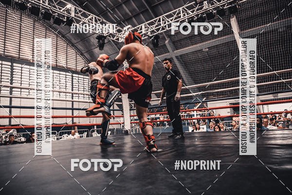 Buy your photos of the eventGolden Cup Pro on Fotop