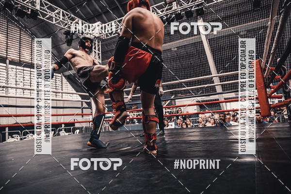 Buy your photos of the eventGolden Cup Pro on Fotop