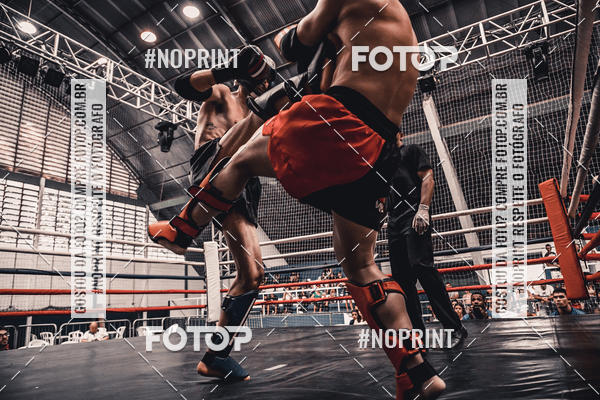 Buy your photos of the eventGolden Cup Pro on Fotop