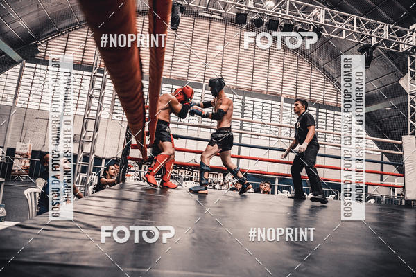 Buy your photos of the eventGolden Cup Pro on Fotop