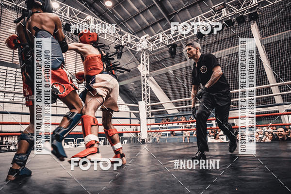 Buy your photos of the eventGolden Cup Pro on Fotop