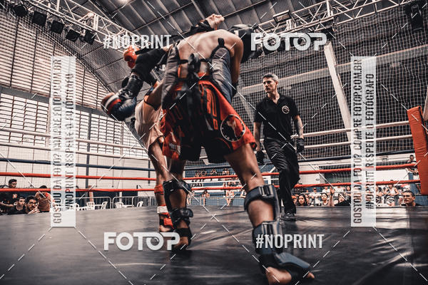 Buy your photos of the eventGolden Cup Pro on Fotop