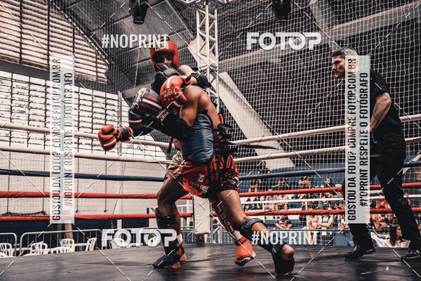 Buy your photos of the eventGolden Cup Pro on Fotop