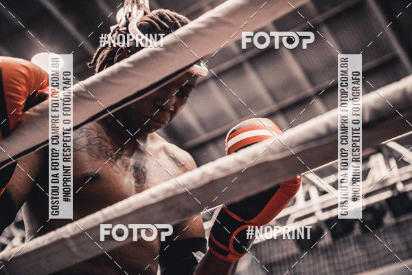 Buy your photos of the eventGolden Cup Pro on Fotop