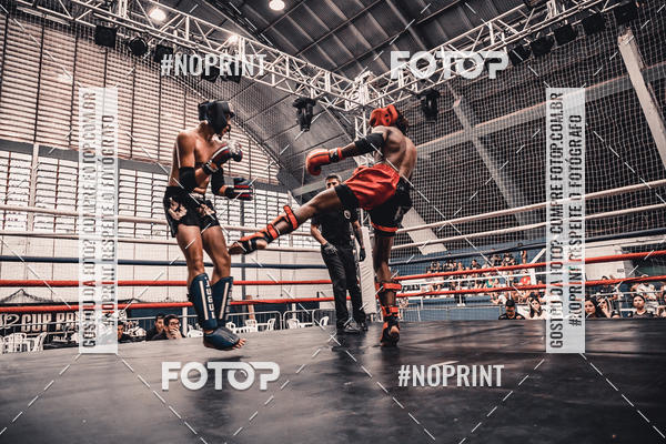 Buy your photos of the eventGolden Cup Pro on Fotop