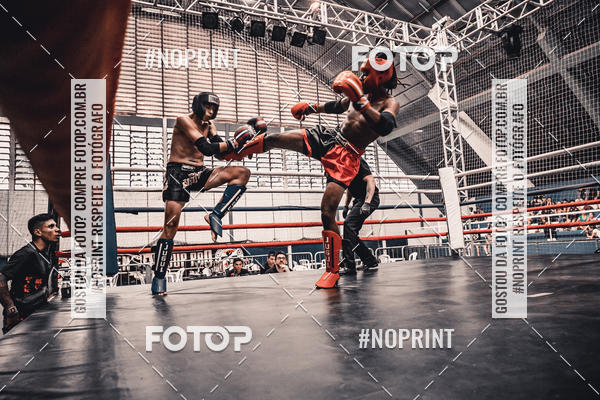 Buy your photos of the eventGolden Cup Pro on Fotop