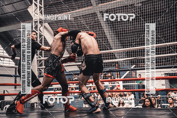 Buy your photos of the eventGolden Cup Pro on Fotop