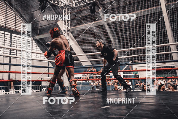 Buy your photos of the eventGolden Cup Pro on Fotop