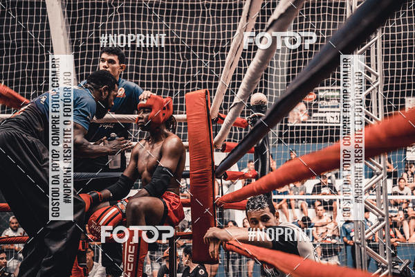 Buy your photos of the eventGolden Cup Pro on Fotop