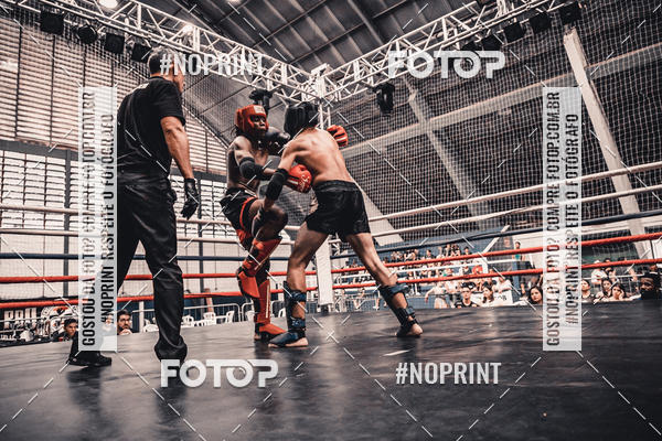 Buy your photos of the eventGolden Cup Pro on Fotop