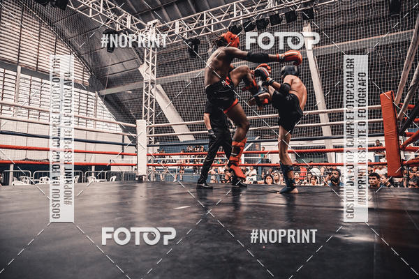 Buy your photos of the eventGolden Cup Pro on Fotop