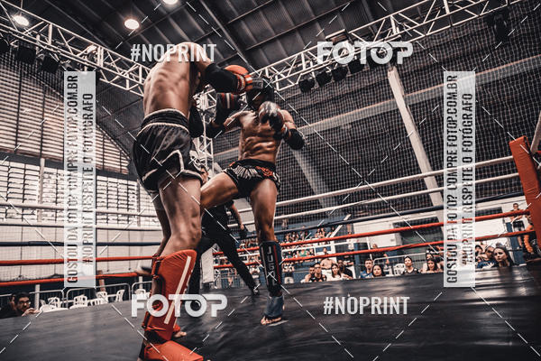 Buy your photos of the eventGolden Cup Pro on Fotop